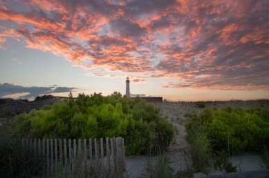 Cape May Point real estate landscape